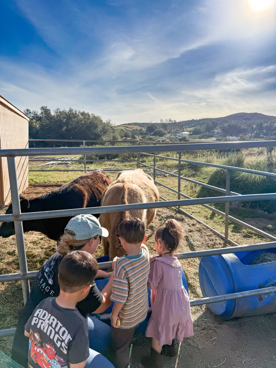Silver Sage Ranch School